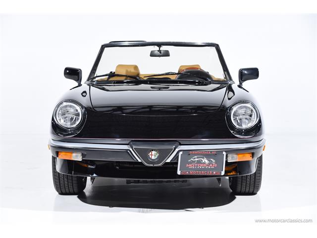 1988 Alfa Romeo Spider (CC-2068484) for sale in Farmingdale, New York