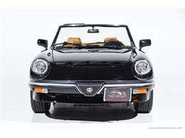 1988 Alfa Romeo Spider (CC-2068484) for sale in Farmingdale, New York