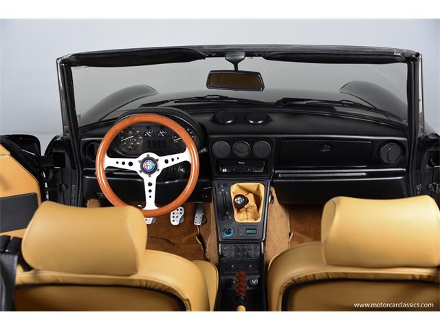 1988 Alfa Romeo Spider (CC-2068484) for sale in Farmingdale, New York