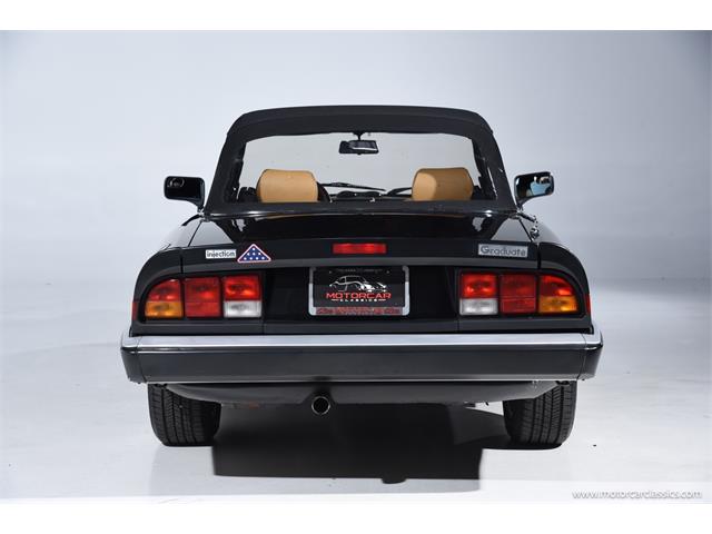 1988 Alfa Romeo Spider (CC-2068484) for sale in Farmingdale, New York
