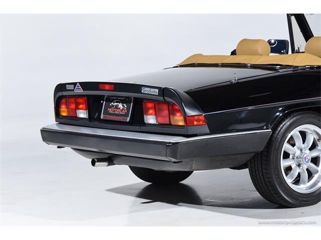 1988 Alfa Romeo Spider (CC-2068484) for sale in Farmingdale, New York