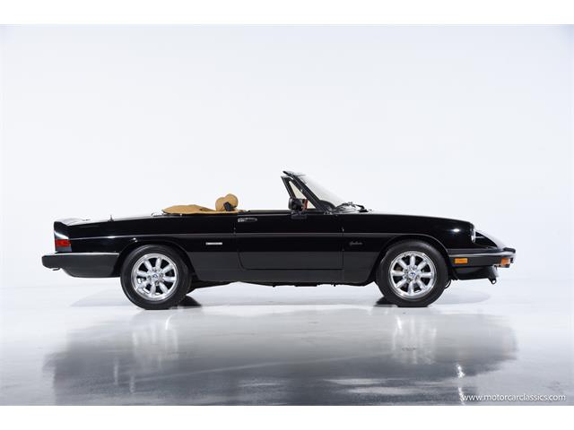 1988 Alfa Romeo Spider (CC-2068484) for sale in Farmingdale, New York