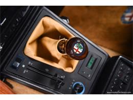 1988 Alfa Romeo Spider (CC-2068484) for sale in Farmingdale, New York