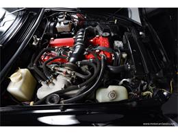 1988 Alfa Romeo Spider (CC-2068484) for sale in Farmingdale, New York