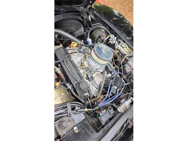 1982 Chevrolet Corvette (CC-2068531) for sale in Reno, Nevada