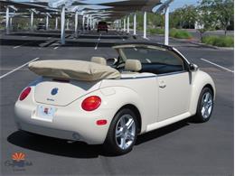 2004 Volkswagen Beetle (CC-2068535) for sale in Mesa, Arizona