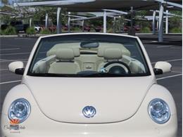 2004 Volkswagen Beetle (CC-2068535) for sale in Mesa, Arizona