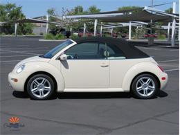 2004 Volkswagen Beetle (CC-2068535) for sale in Mesa, Arizona