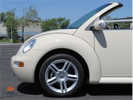 2004 Volkswagen Beetle (CC-2068535) for sale in Mesa, Arizona