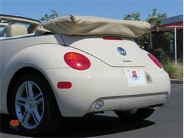 2004 Volkswagen Beetle (CC-2068535) for sale in Mesa, Arizona