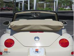 2004 Volkswagen Beetle (CC-2068535) for sale in Mesa, Arizona