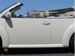 2004 Volkswagen Beetle (CC-2068535) for sale in Mesa, Arizona