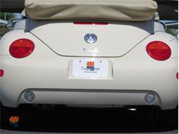 2004 Volkswagen Beetle (CC-2068535) for sale in Mesa, Arizona
