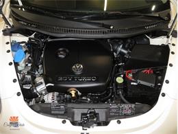 2004 Volkswagen Beetle (CC-2068535) for sale in Mesa, Arizona