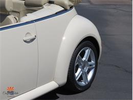 2004 Volkswagen Beetle (CC-2068535) for sale in Mesa, Arizona