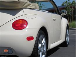 2004 Volkswagen Beetle (CC-2068535) for sale in Mesa, Arizona