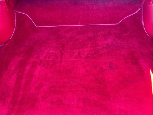 1966 Chevrolet Chevelle (CC-2068544) for sale in Largo, Florida