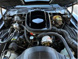 1977 Pontiac Firebird Trans Am (CC-2068555) for sale in Lincoln, Nebraska