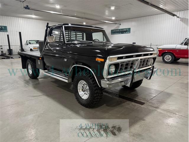 1976 Ford F150 (CC-2068636) for sale in Holland , Michigan