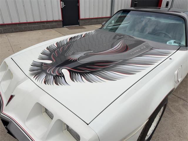 1980 Pontiac Firebird Trans Am (CC-2068671) for sale in Wooster, Ohio