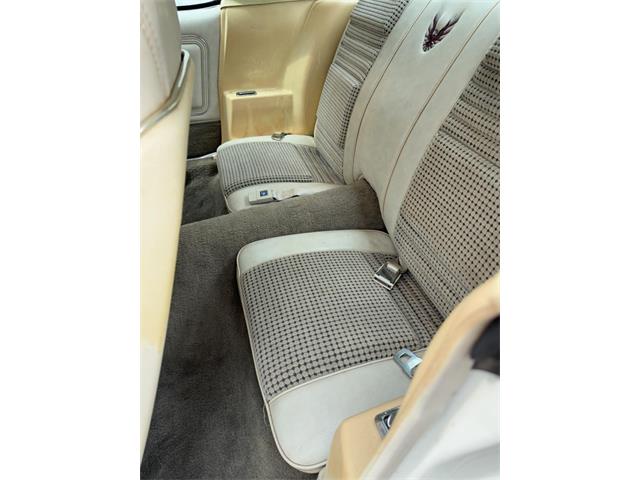 1980 Pontiac Firebird Trans Am (CC-2068671) for sale in Wooster, Ohio