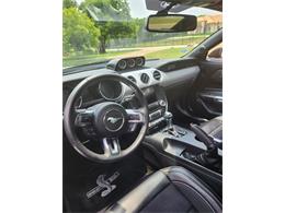 2017 Ford Mustang Shelby Super Snake (CC-2068700) for sale in McKinney, Texas