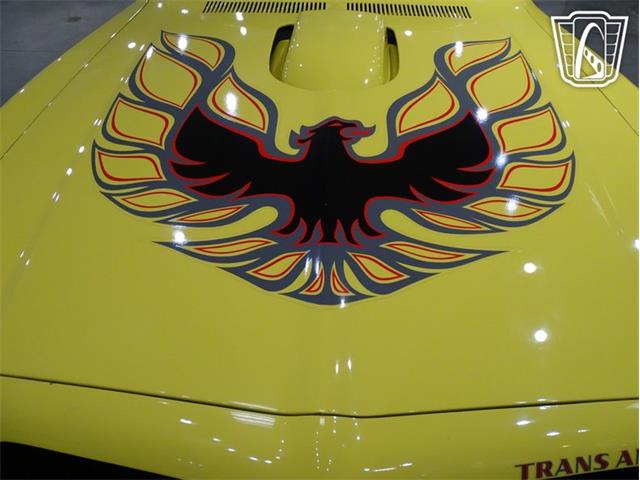 1976 Pontiac Firebird (CC-2068744) for sale in O'Fallon, Illinois