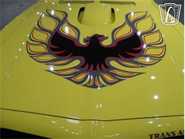 1976 Pontiac Firebird (CC-2068744) for sale in O'Fallon, Illinois