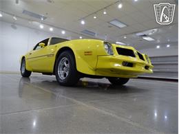 1976 Pontiac Firebird (CC-2068744) for sale in O'Fallon, Illinois