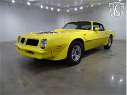 1976 Pontiac Firebird (CC-2068744) for sale in O'Fallon, Illinois