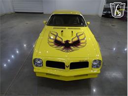 1976 Pontiac Firebird (CC-2068744) for sale in O'Fallon, Illinois