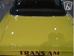 1976 Pontiac Firebird (CC-2068744) for sale in O'Fallon, Illinois