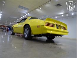 1976 Pontiac Firebird (CC-2068744) for sale in O'Fallon, Illinois