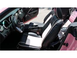 2006 Ford Mustang GT (CC-2068753) for sale in Ruskin, Florida