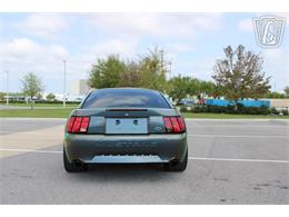 2003 Ford Mustang (CC-2068754) for sale in Ruskin, Florida