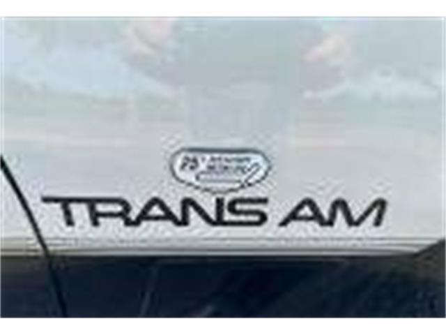 1983 Pontiac Firebird Trans Am (CC-2068806) for sale in Cadillac, Michigan