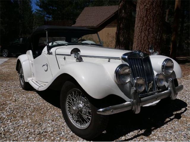 1954 MG TF (CC-2068816) for sale in Cadillac, Michigan