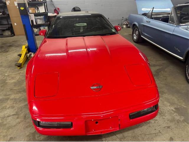 1992 Chevrolet Corvette (CC-2068827) for sale in Cadillac, Michigan