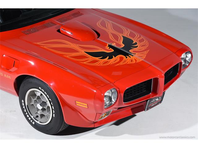 1973 Pontiac Firebird Trans Am (CC-2068846) for sale in Farmingdale, New York