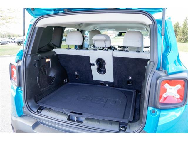2021 Jeep Renegade (CC-2068859) for sale in Ramsey, Minnesota
