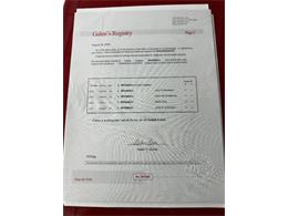 1970 Plymouth Satellite (CC-2068870) for sale in Clearwater, Florida