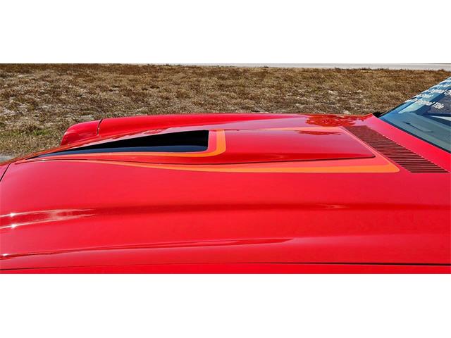 1979 Chevrolet Camaro (CC-2068933) for sale in Hudson, Florida