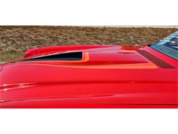 1979 Chevrolet Camaro (CC-2068933) for sale in Hudson, Florida