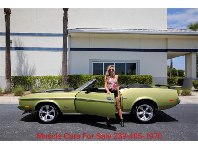 1973 Ford Mustang (CC-2068947) for sale in Fort Myers, Florida