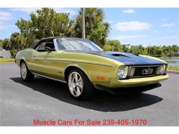 1973 Ford Mustang (CC-2068947) for sale in Fort Myers, Florida