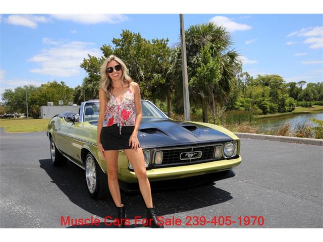 1973 Ford Mustang (CC-2068947) for sale in Fort Myers, Florida