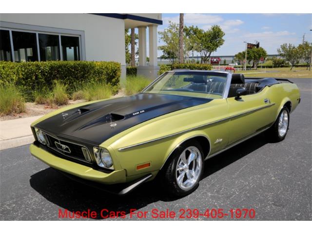 1973 Ford Mustang (CC-2068947) for sale in Fort Myers, Florida