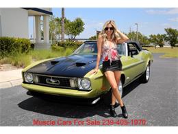 1973 Ford Mustang (CC-2068947) for sale in Fort Myers, Florida