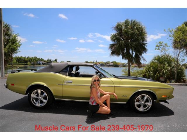 1973 Ford Mustang (CC-2068947) for sale in Fort Myers, Florida