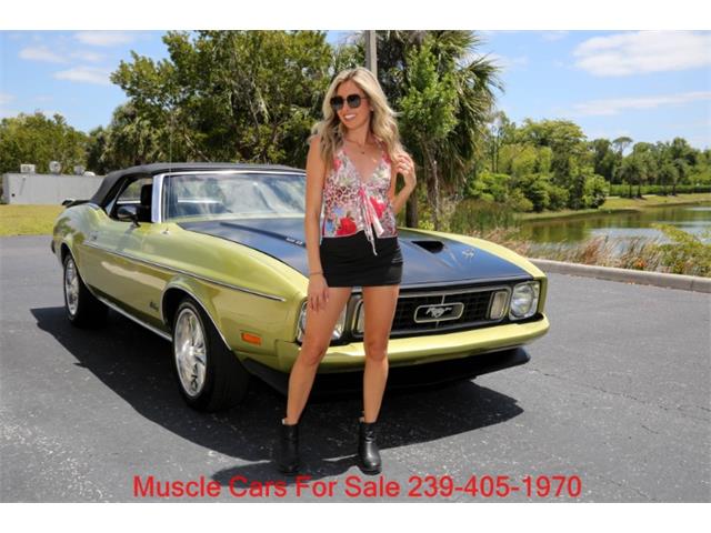 1973 Ford Mustang (CC-2068947) for sale in Fort Myers, Florida